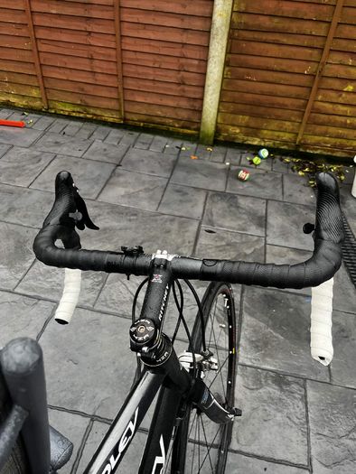 ridley triton