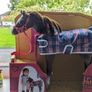 Our generation horse Image 5