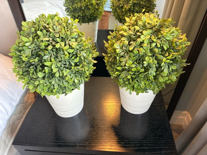 Pair of Ikea Fejka Artificial Potted Plants Boxwood Topiary Balls