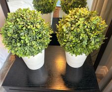 Pair of Ikea Fejka Artificial Potted Plants Boxwood Topiary Balls