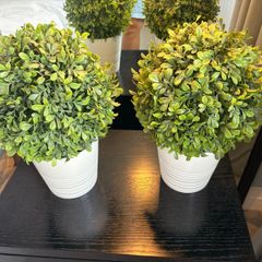 Pair of Ikea Fejka Artificial Potted Plants Boxwood Topiary Balls
