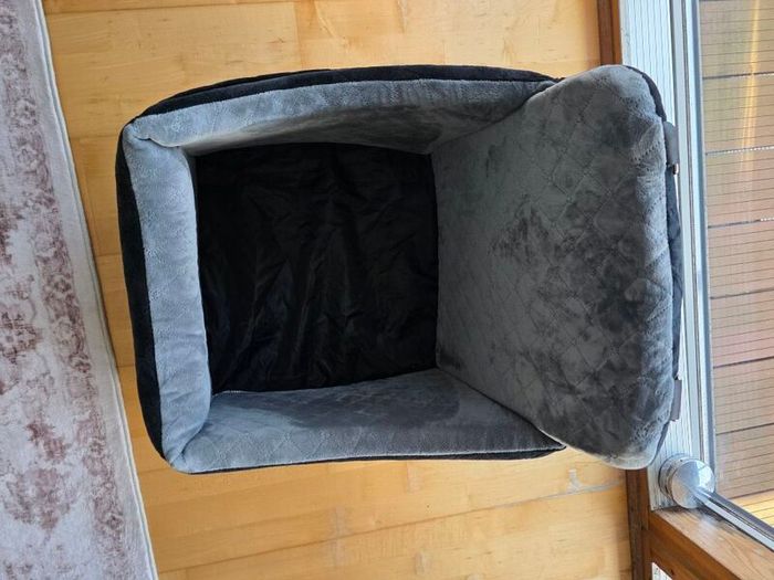 Dog car seat