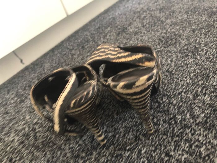 Zebra hills