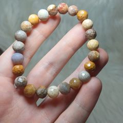 Faceted mexican lace agate elasticated bracelet