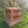 Vintage John Locke Kilbeggan Whiskey Crates 125 each Image 2