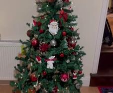 Christmas tree