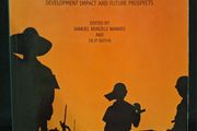SALE!  REMITTANCES Development Impact and Future Prospects
