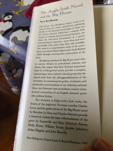 The Anglo Irish Novel and the Big House by Vera Kreilkamp