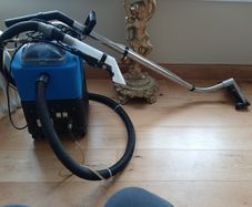 professional carpet cleaner