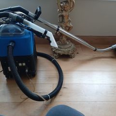 professional carpet cleaner