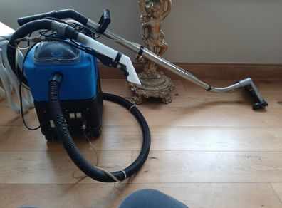 professional carpet cleaner