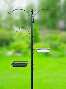 Bird Feeding station