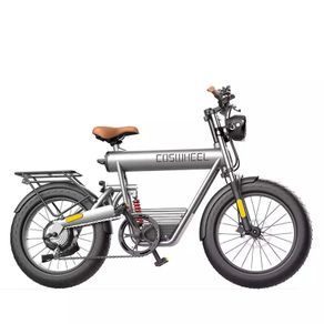 Coswheel T20R Cargo Electric Bike