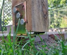 Column base bracket anchor