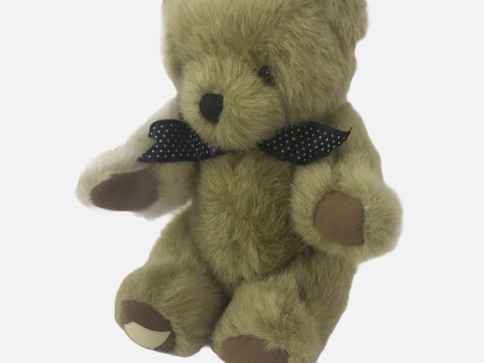 Colour box brown jointed collectors bear