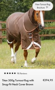 Premier Equine Horse Rug