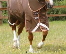 Premier Equine Horse Rug