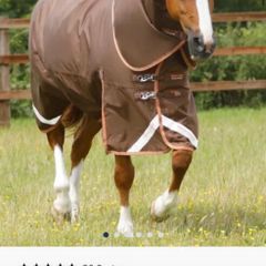 Premier Equine Horse Rug