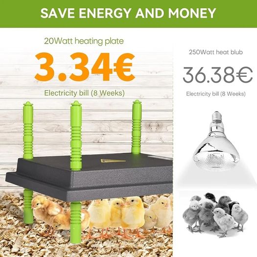 Chick Brooder Heating Plate, 10"x12"Chicken Brooder Heater with Adjustable Height for Baby Chick & Duckling, 20W Brooder Plate for Up to 15 Chick, Replacement Heat Lamp Warm Like Mother Hen