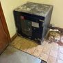 Regan's Bar & Restaurant Jobs: Safe Image 9