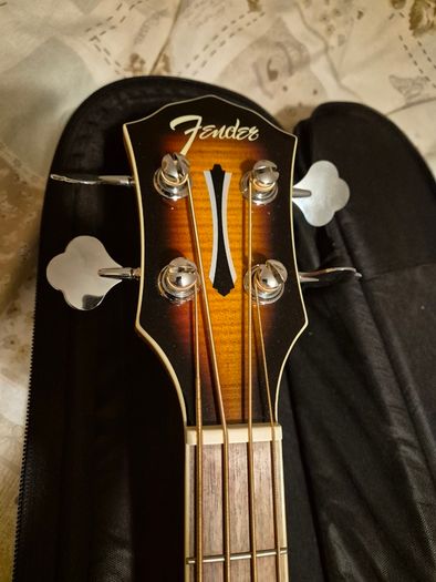 Acoustic Bass