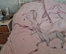 Duvet Cover and pillow cases