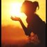 Sunshine210