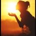 Sunshine210