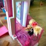 Barbie Dreamhouse Image 10