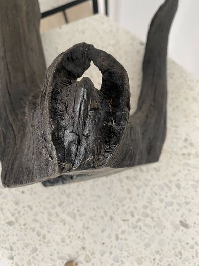 Bog Oak sculpture