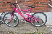 adults bike