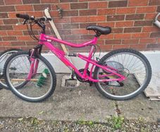 adults bike