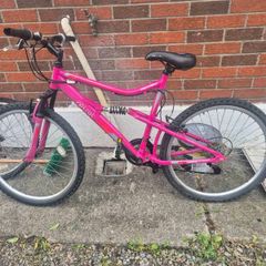 adults bike
