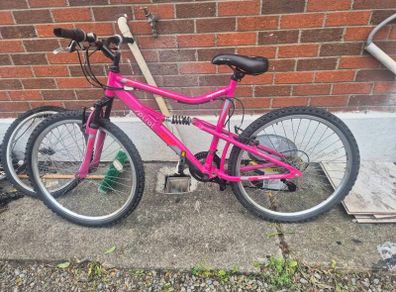adults bike