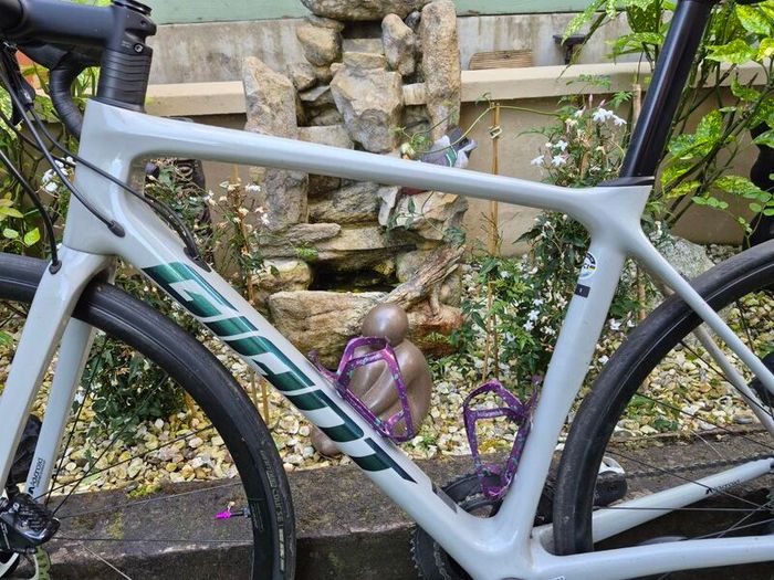 Giant Road Bike TCR ultegra
