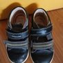 Geox Shoes Image 2