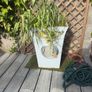 Garden pot Image 2