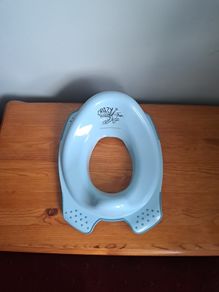Toilet training seat