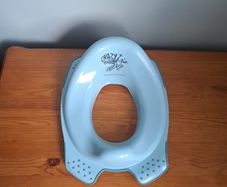 Toilet training seat
