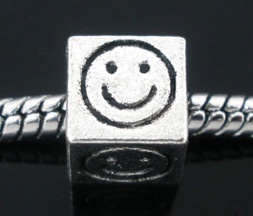 Pandora Style Charms
