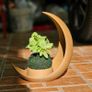 Crescent Moon Decoration With Elliptical Plant Pot Image 4