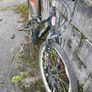 Bike Image 2