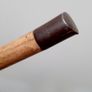 Walking stick Image 2
