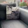 2 Roxy grey Sofas Image 3