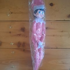 Elf on the shelf