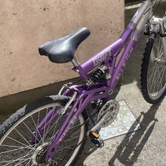 Raleigh drift bike