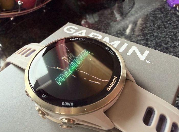 Garmin Forerunner 970 (French grey)