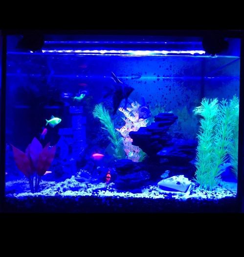 40cm Fish tank light multiple color