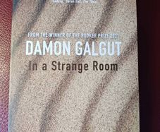 Damon Galgut / In a Strange Room / Three Journeys/2015