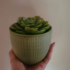 Artificial Succulent Plant in Ceramic Pot